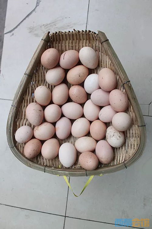 莲花镇 生态农副产品的沃土与骄傲